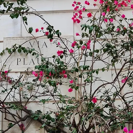 Apartment Habemus Domum! Il Monolocale Perfetto Per Voi