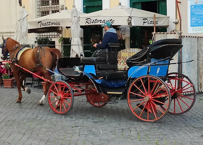 Habemus Domum! Il Monolocale Perfetto Per Voi *